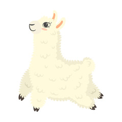 Cute lama cartoon vector illustration. White baby girl llama in different poses and emotions. Collection of sticker