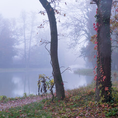 Maksimir park zagreb foggy autumn landscape on a lake