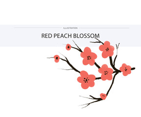 Red-peach blossom