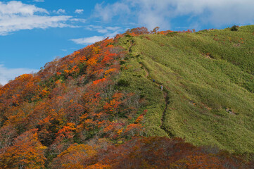 大日ヶ岳