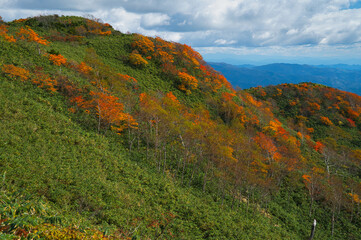 秋の山