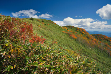 秋の山
