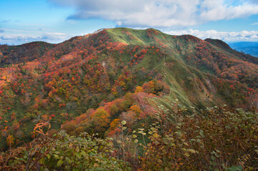 大日ヶ岳