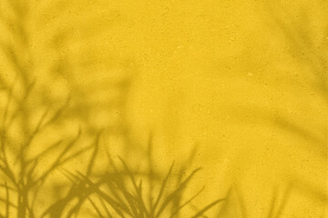 Palm leaves shadow on yellow concrete wall texture with roughness and irregularities. Abstract...