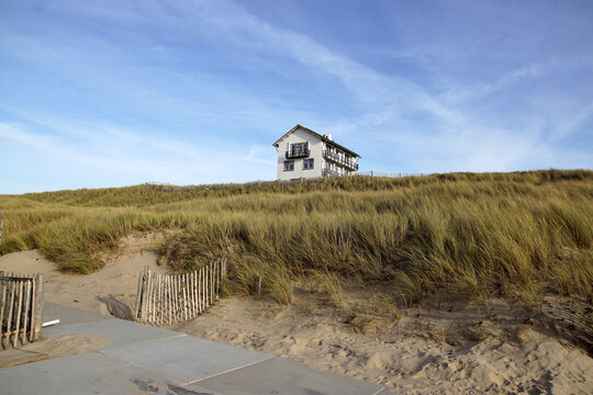 Dutch dunes, house near the North Sea. Dutch seaside resort of Bergen aan Zee. Netherlands, November, Autumn.         