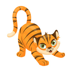 Fototapeta na wymiar Funny tiger growls and hunts, cartoon character vector illustration. Orange animal with cute muzzle sitting, waving and smiling, symbol of 2022