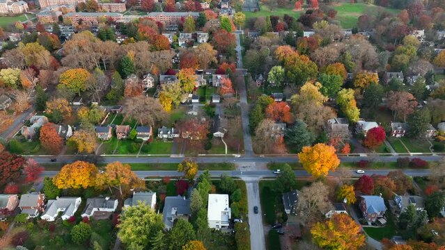 American neighborhood in autumn. Aerial truck shot during fall foliage season. USA suburbs.