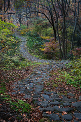 秋の石畳の階段