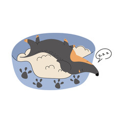 Illustration of cute cartoon sleeping dog.Happy resting dachshund isolated on white background.