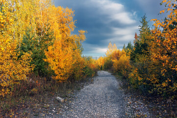Fototapeta na wymiar Colorful golden autumn landscape with different color trees, cloudy sky and road.