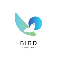 Bird Abstract Logo design vector design