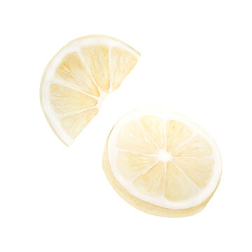 Watercolor illustration of lemons isolated on white background