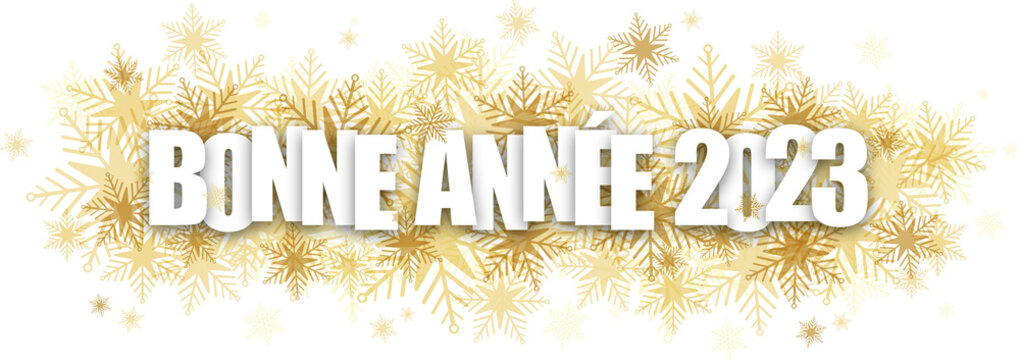 Banniére typographique dorée et blanche BONNE ANNEE 2023 avec flocons de neige sur fond transparent