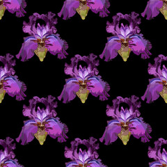 Iris flower purple seamless pattern