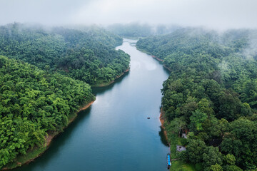 Abundance tropical rainforest with foggy and river flowing through in the morning at national park