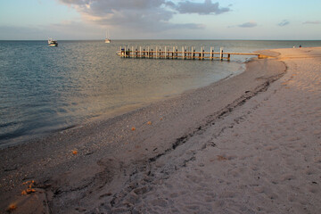 beach and indian ocean at shark bay in australia