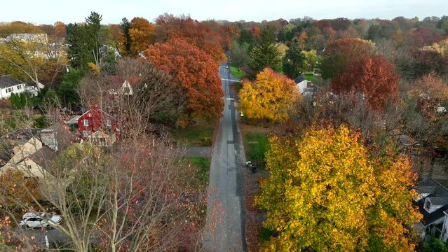 Quiet residential district in American suburbs. Homes in autumn with colorful leaves on trees. Fall foliage aerial view above street.