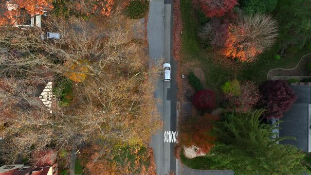 Top down aerial of car driving slowly through school zone, approaching crosswalk for pedestrians.