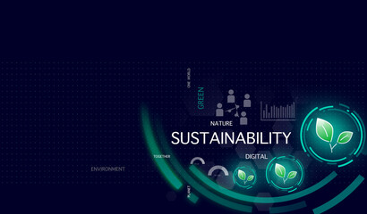 Digital Sustainability 