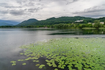 A lake next to a forrest hill in lago di lago, Italy with lily  pads