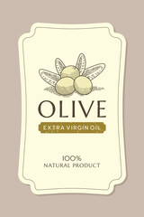 Olive oil label template with olive branch in vintage, hand drawn and line style