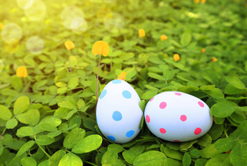 Easter eggs in grass and flowers
