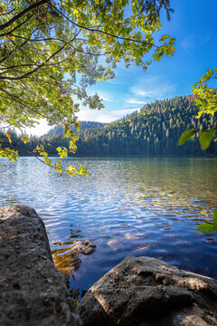 feldsee