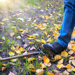 Male foot steps on a lying rake