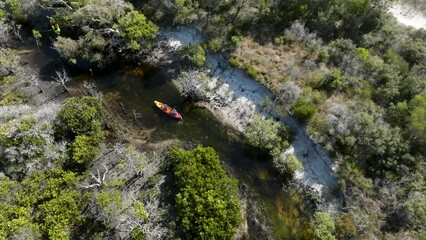 Kayakinh through a river in Fraser Island, surrounded by mangrove trees on a sunny day.