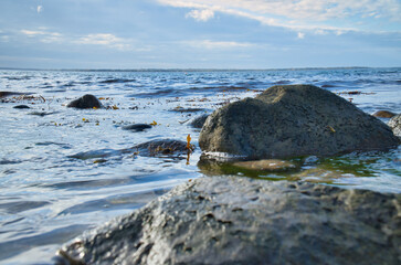 Fototapeta na wymiar Large stone in the water on the beach in the sea. Danish coast on a sunny day