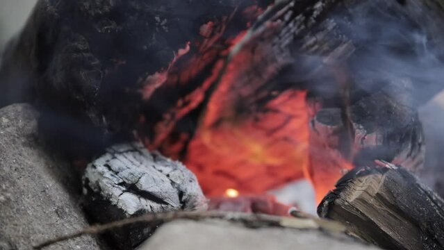 campfire in the woods 