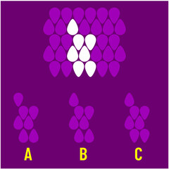 Visual intelligence questions IQ TEST, visual intelligence questions. Find the missing, Find the missing piece