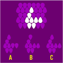 Visual intelligence questions IQ TEST, visual intelligence questions. Find the missing, Find the missing piece