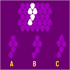 Visual intelligence questions IQ TEST, visual intelligence questions. Find the missing, Find the missing piece