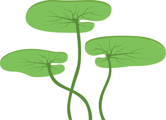 Fototapeta na wymiar Green underwater plant icon. Cartoon marine flora