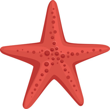 Starfish Icon. Cartoon Red Animal. Underwater Fauna