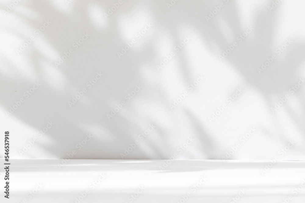 Leinwandbilder Abstract white studio background for product presentation. Empty room with shadows of window and flowers and palm leaves . 3d room with copy space. Summer concert. Blurred backdrop.