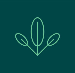 Leaf line logo vector 