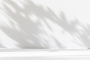 Obraz premium Abstract white studio background for product presentation. Empty room with shadows of window and flowers and palm leaves . 3d room with copy space. Summer concert. Blurred backdrop.