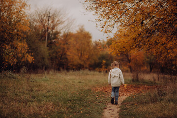 cute little girl walks in the park in autumn. child plays behind tree with yellow orange leaves, smiles. games, family leisure. adventure, fun trip with kids. happy family travel and vacation concept