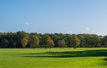 Wonderful autumn landscape. Trees, leaves and nature in autumn.