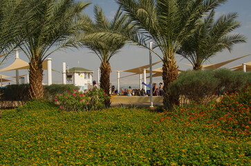 Resort on the Dead Sea. Beach, straw umbrellas, lifeguard houses, people bathe in salt water. health resort in Israel