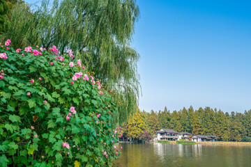 Autumn Scenery of West Lake in Hangzhou, China