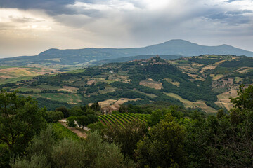 Fototapeta na wymiar Italian landscape along via Francigena, between San Quirico d'Orcia and Radicofani, Tuscany, June 2022