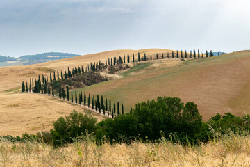 Italian landscape along via Francigena, between San Quirico d'Orcia and Radicofani, Tuscany, June 2022