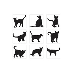 Cat collection - vector silhouette. Set vector silhouettes of the cats and the paw prints