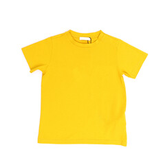 Isolated black t-shirt back view