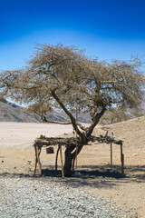 Egypt drought