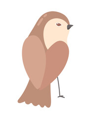 brown bird icon