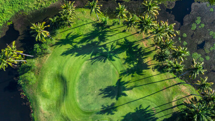 Aerial view of green golf course and putting green, Aerial view of green grass and coconut palm trees on gree golf field, fairway, sand bunker  and putting green.